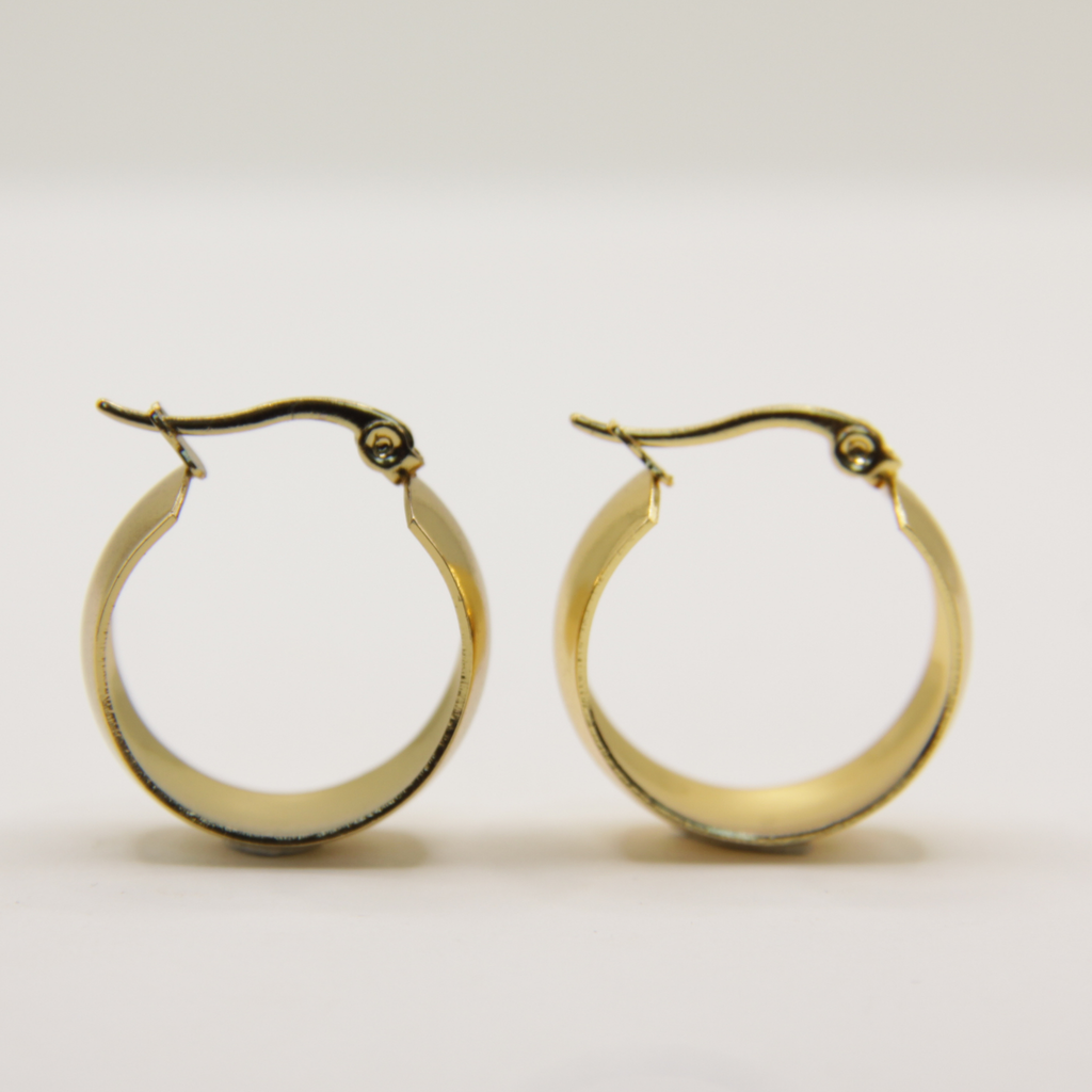 18k Gold plated small chunky earrings