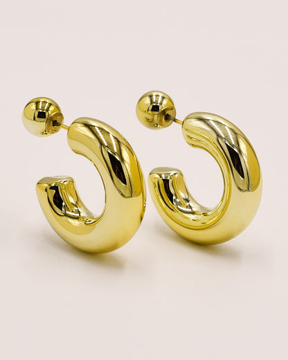 18k Gold plated beauty earrings